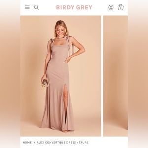 Birdy Grey ‘Alex’ Dress in Crepe Taupe